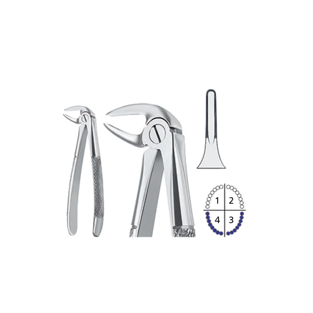 extracting-forceps-english-pattern2111