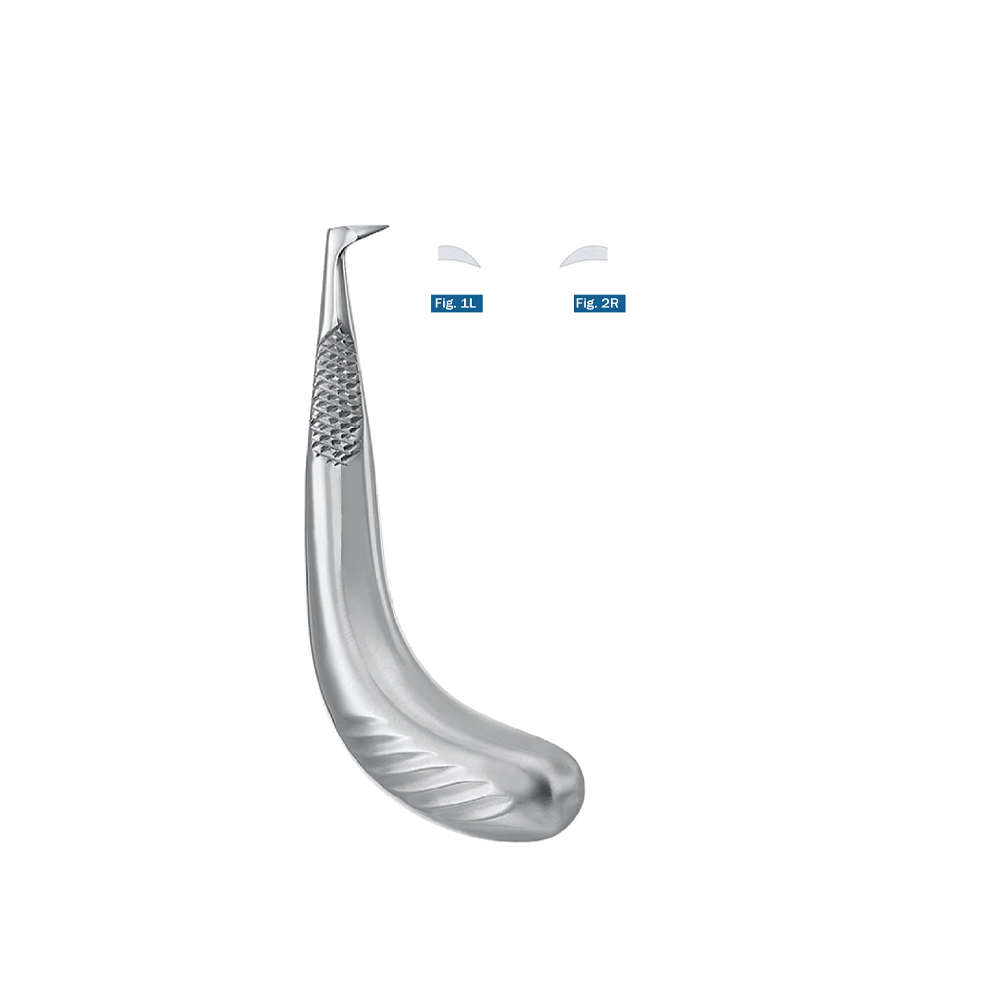 root-elevators61111111