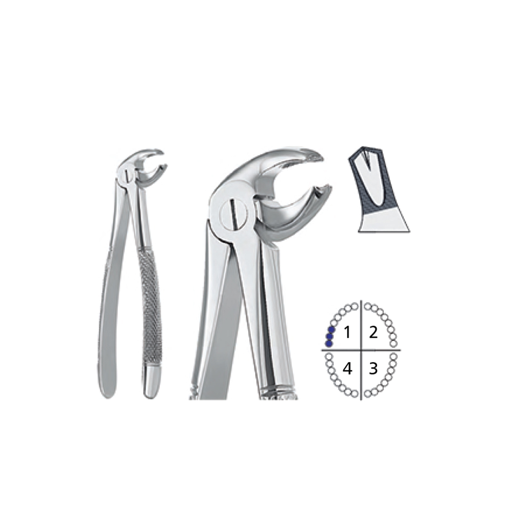 extracting-forceps-english-pattern211