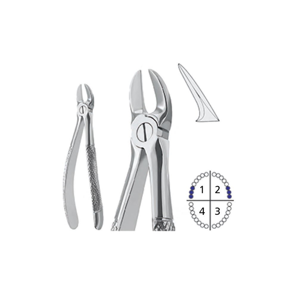 extracting-forceps-english-pattern111