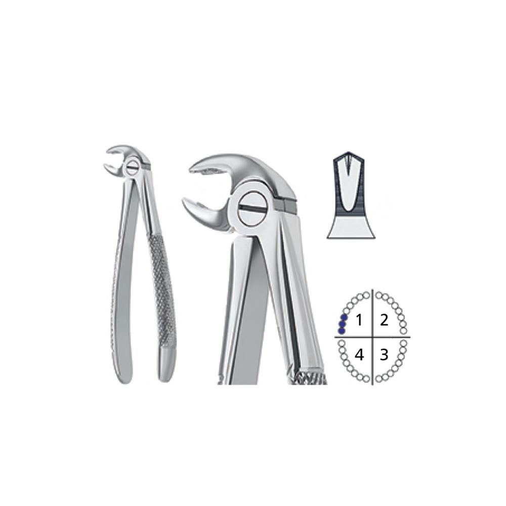 extracting-forceps-english-pattern21