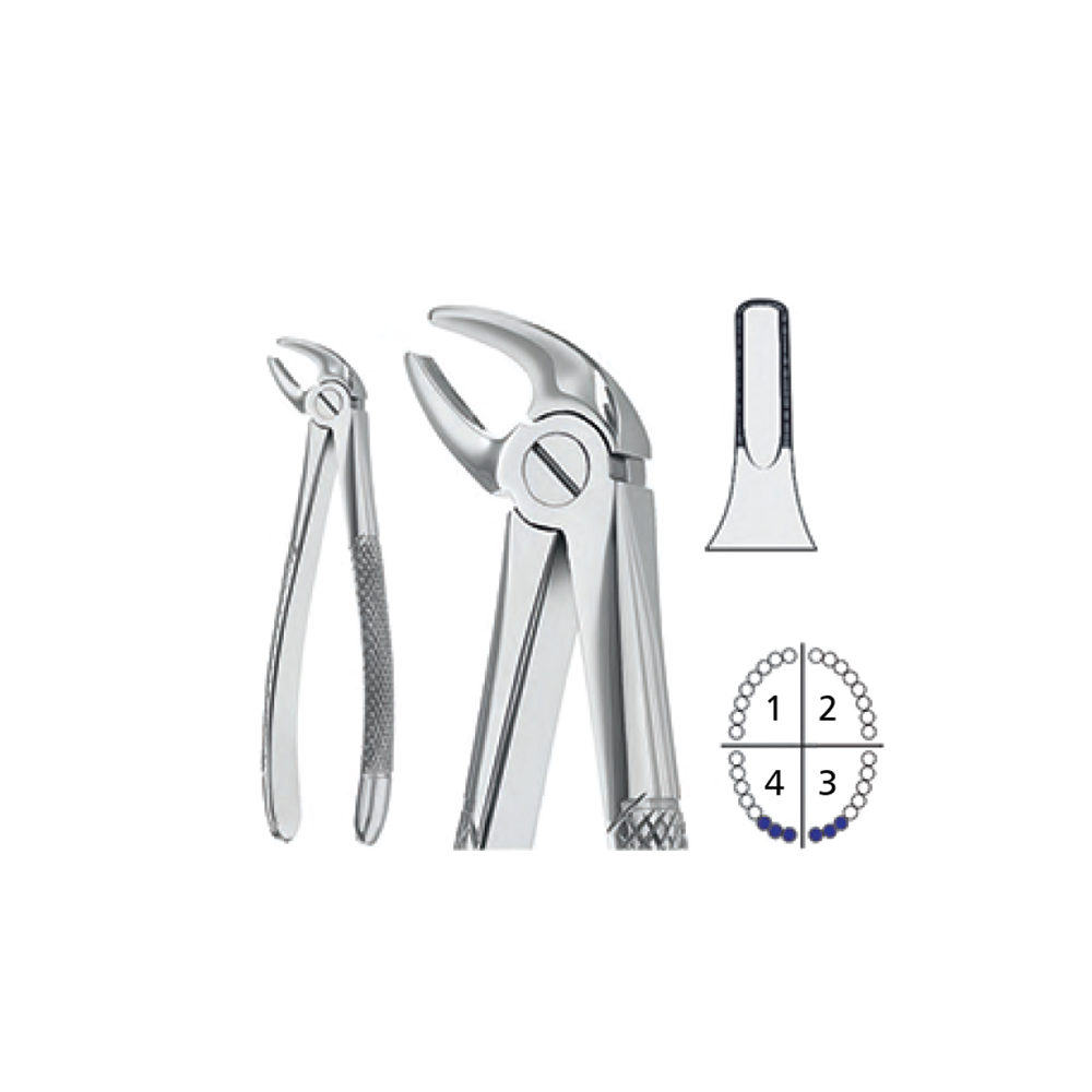 extracting-forceps11