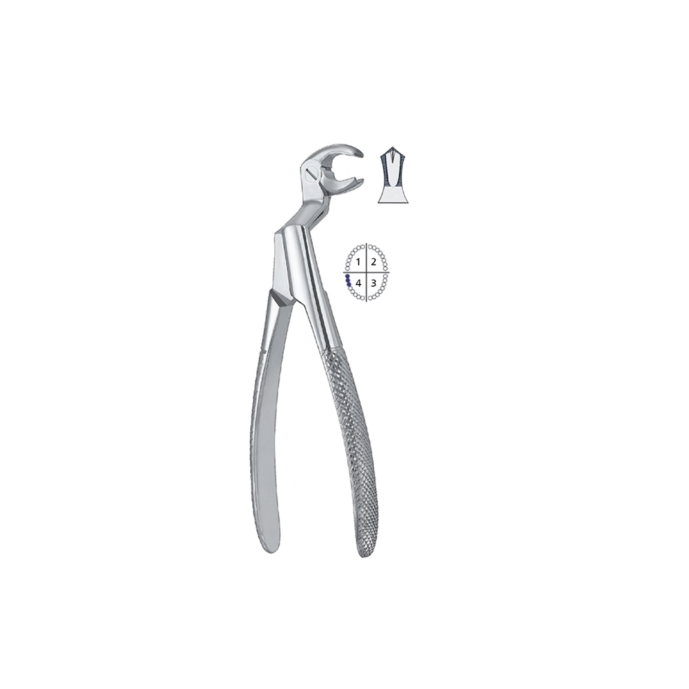 extracting-forceps-english-pattern11