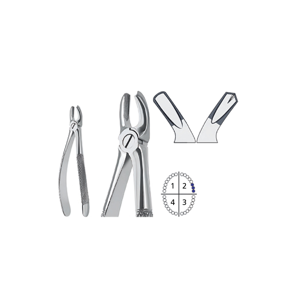 extracting-forceps-english-pattern1111111