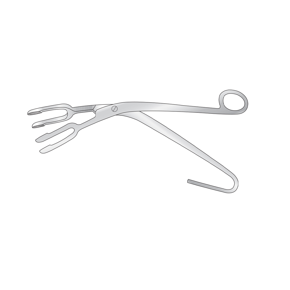 sponge-holding-and-sterilising-forceps31