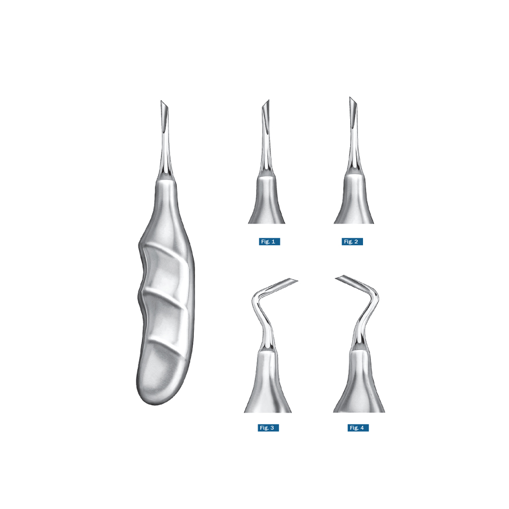 root-elevators611111