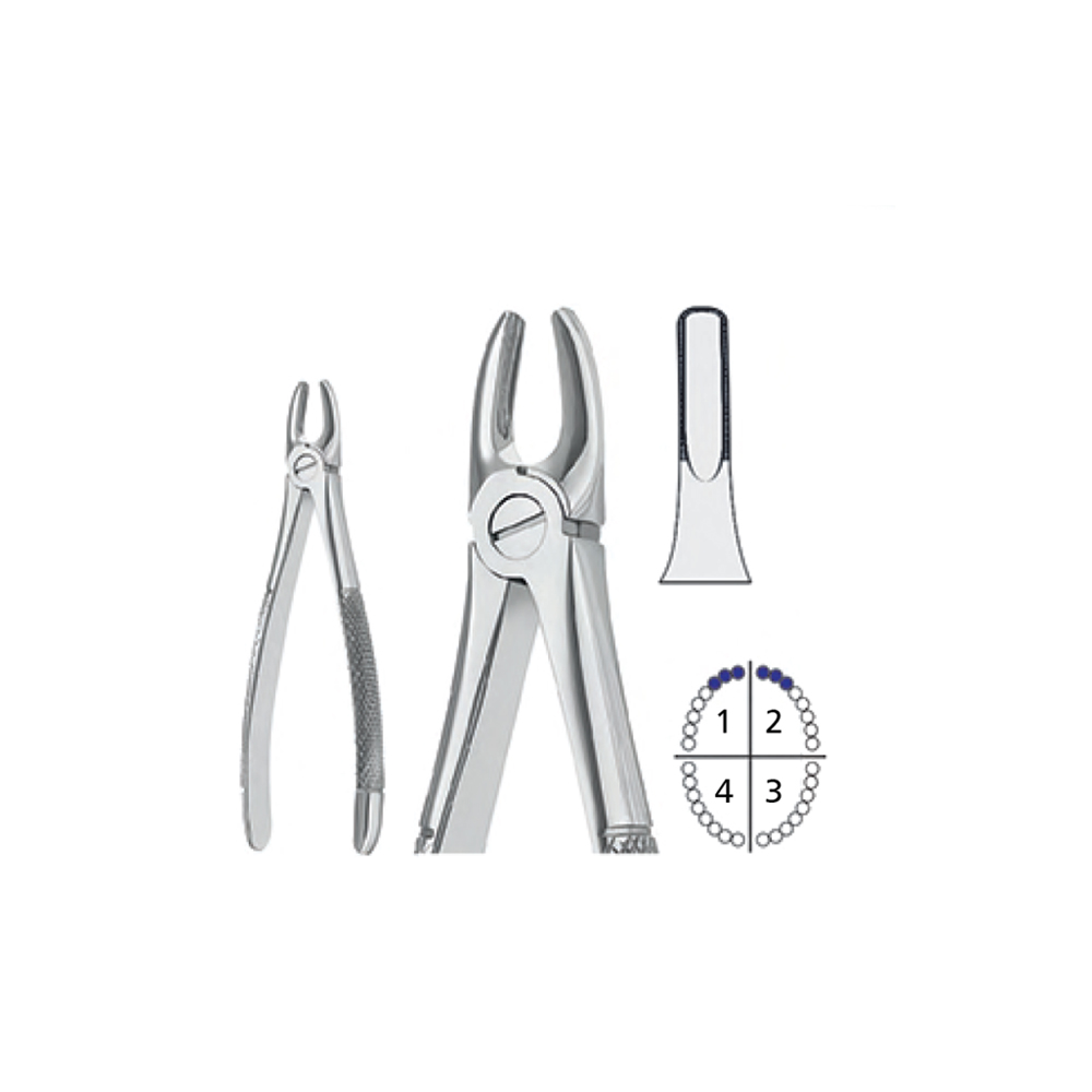 extracting-forceps1