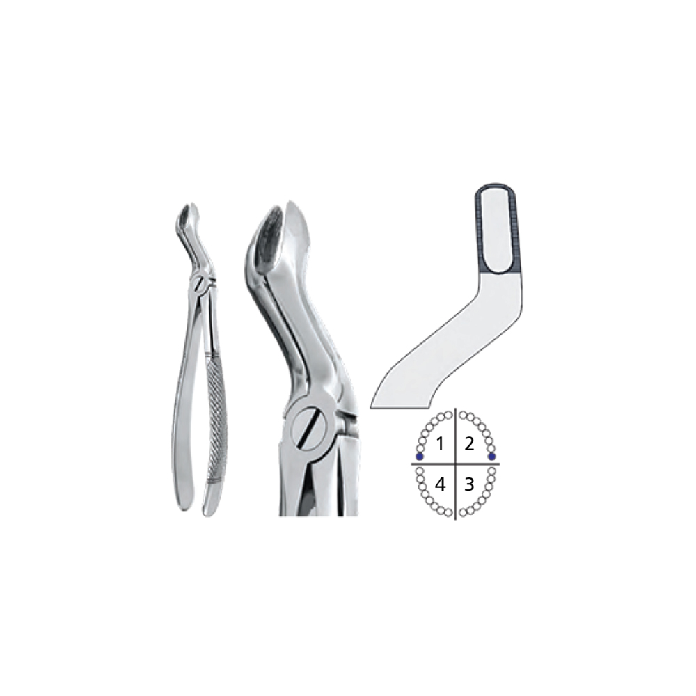 extracting-forceps-english-pattern1111