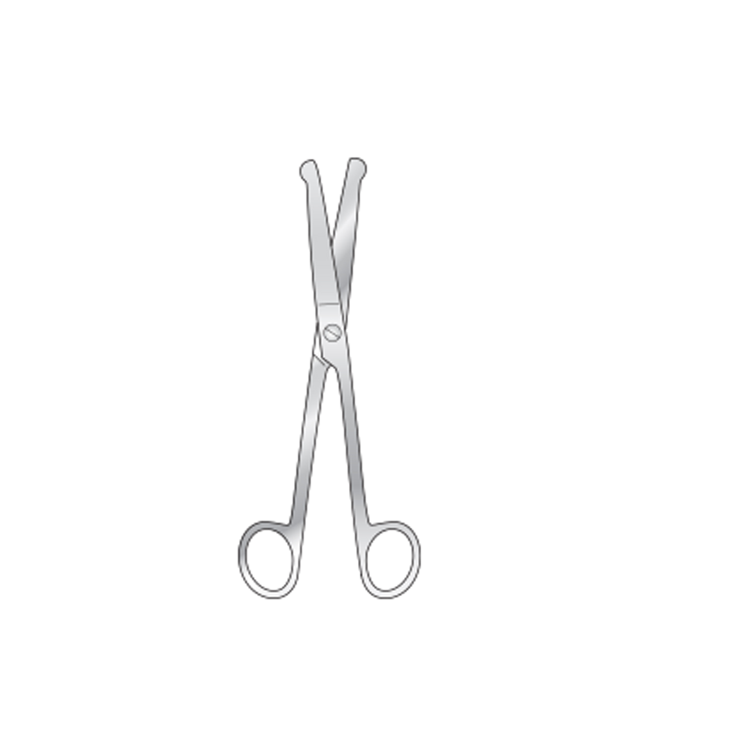 dissecting-scissors4