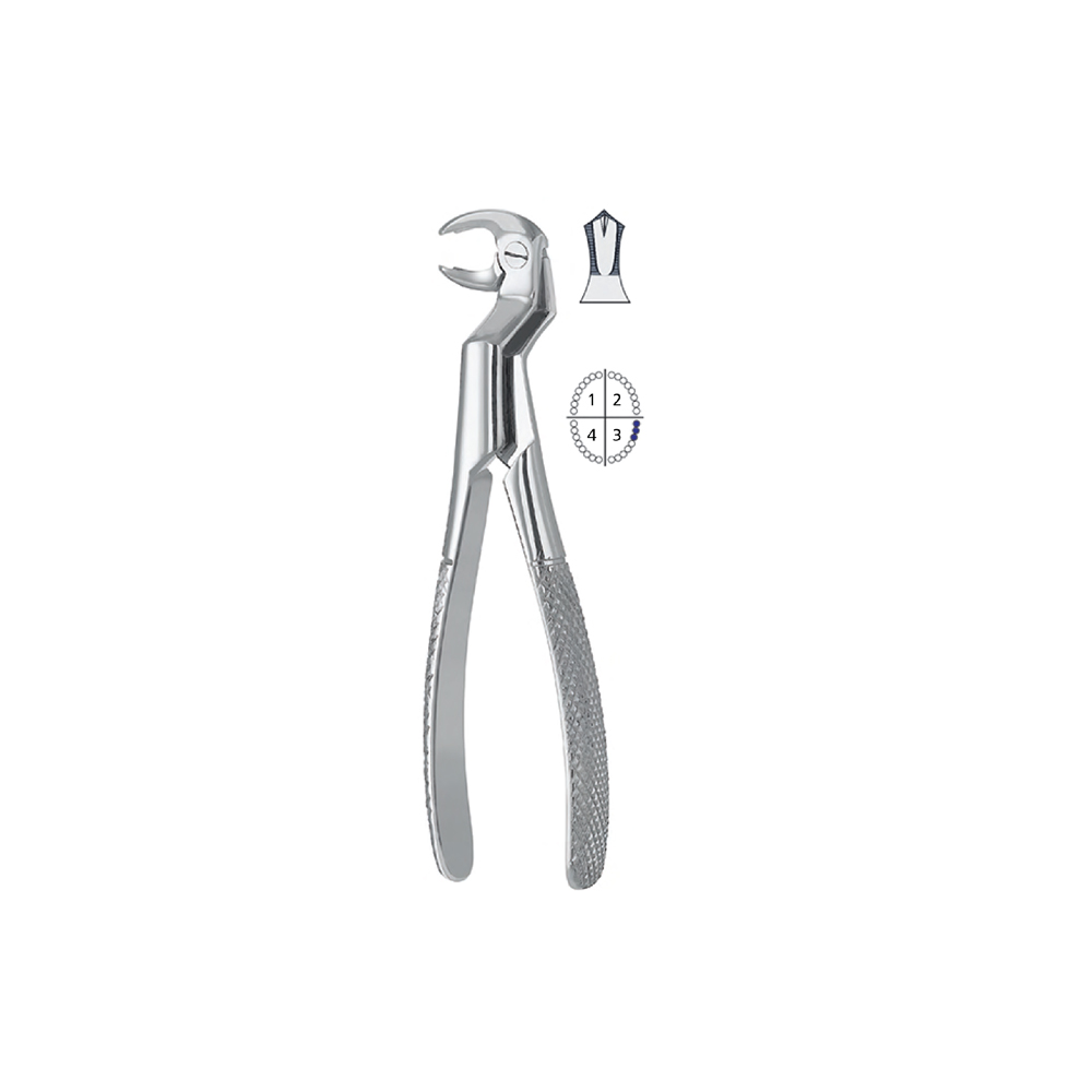 extracting-forceps-english-pattern1