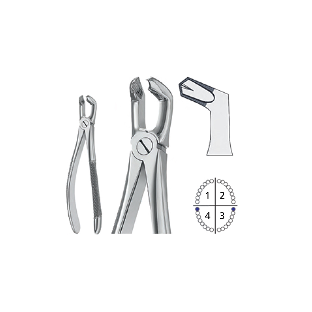 extracting-forceps-english-pattern111111